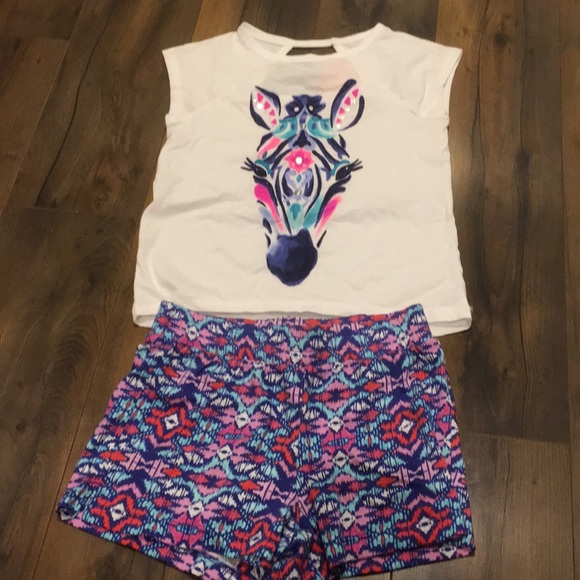 Gymboree Other - NWT girls Size 5/6 Gymboree Summer outfit